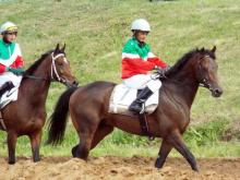 Скачку на Сабантуе выиграл жеребец президента Абхазии