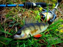 Открытие спиннингового сезона в Набережных Челнах