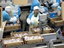 «Челны-Бройлер» договорился о поставках куриного мяса в «Метро», «Карусель» и «Бэхетле» 