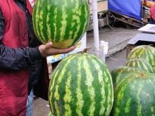 Арбузы покупать еще рано