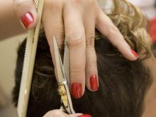 Садоводы открывают в обществе парикмахерскую и аптеку