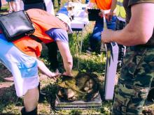 На чемпионате Татарстана сазан в 4,5 кг принес команде рыболовов только «бронзу»