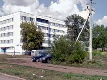 Нетрезвого челнинца укусила не гадюка, а кто-то другой