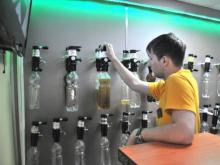 «Пивные короли» пока сильнее закона