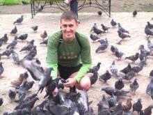 Голуби на фото Эдварда Шелкова