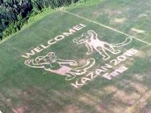 Рисунок на поле возле аэропорта «Казань» оценили в 2,2 миллиона рублей