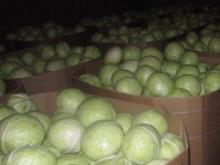 ООО «Интерфрут» придется ответить за цены на капусту