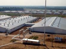 Рабочий «Камского бекона» погиб из-за того, что не надел противогаз