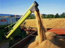 Кто купит урожай у фермеров?