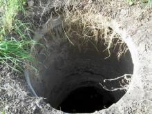 В Набережных Челнах собака упала в открытый пятиметровый колодец