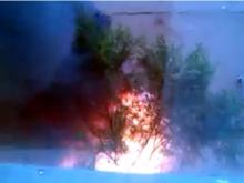 В Набережных Челнах сгорел киоск на улице Шамиля Усманова