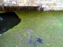 Родник у Боровецкой церкви очистили