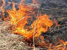 Возле Набережных Челнов четыре раза загоралась сухая трава