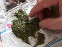 За продажу 10 граммов марихуаны челнинец получил 9 лет колонии