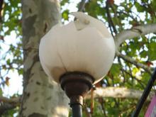 Кто отнимает у Набережных Челнов 8 миллионов в год