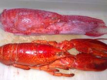 Приволжская транспортная прокуратура изымает из магазинов канадских лобстеров
