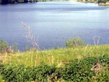 В пруду возле деревни Левашово обнаружен утонувший автомобиль с водителем