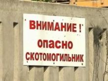 Над скотомогильником построили бетонный саркофаг