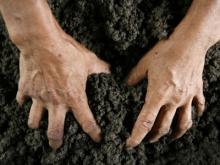 В Татарстане увеличены штрафы за самовольный захват земли