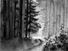 Что будет с лесом в Татарстане?