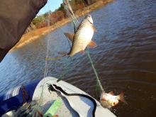 Нижнекамское водохранилище поделили промысловики