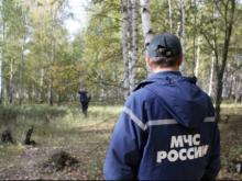 Челнинские спасатели утром отправились в Заинск на поиски 11-летней девочки