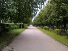 Нужны ли скамейки у поликлиник для больных и пенсионеров?