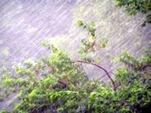 Объявлено штормовое предупреждение по Татарстану