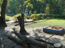 В детском саду №81 'Гульчачак' вырубили деревья без разрешения