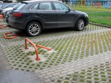 Цена за место на экопарковке поднялась до 50 тысяч рублей