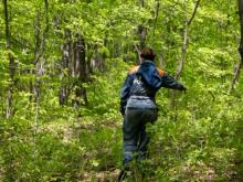 Спасатели несколько часов ищут в лесу пропавшую женщину