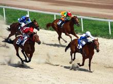 В скачках на призы Владимира Путина принял участие жеребец, принадлежащий фирме 'Челнылифт'