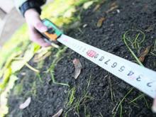 У садоводов и владельцев частных домов считают площадь их участков