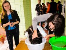 Первокурсников НИСПТР заставили есть шоколад с памперсов