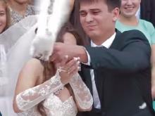 Голубь не захотел участвовать в свадебной церемонии в Набережных Челнах