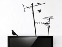 Прокуратура признала: с челнинцев незаконно взимали деньги за обслуживание коллективных телеантенн