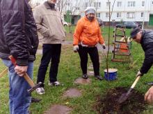 Роман Муралёв позвал соседей сажать деревья во дворе дома 42/08