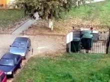 В споре владельцев автомобилей и кафе «Дача» победили автолюбители