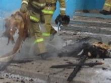 Мастер челнинского предприятия спас соседку во время пожара в поселке Татарстан