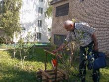 Сад Александра Зотова разрушили вандалы. Зотов готовится его восстанавливать