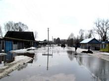 В Елабужском районе бык убил 69-летнего мужчину