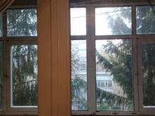 Что нужно сделать, чтобы спилили деревья за окном?