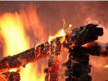 В садовом обществе «Заря» неизвестные сожгли баню