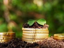 Налог на землю: для дач и гаражей - меньше, для коттеджей - больше.