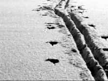 Азат Низамиев, пропавший в воскресенье во время лыжной прогулки, обнаружен мертвым 