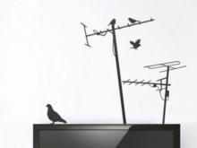 «Телевизионная война» в Набережных Челнах продолжается…