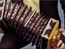 Американский ученый выучил татарский язык и написал диссертацию по татарской гармошке