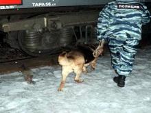 Подозрительный пакет: оперативники оцепили грузовой состав у Набережных Челнов 