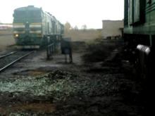 Челнинские спасатели ночью искали бомбу в селе Биклянь