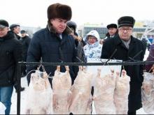 Гусями в Челнах будут торговать на площади Азатлык и Сармановском тракте с 19 декабря